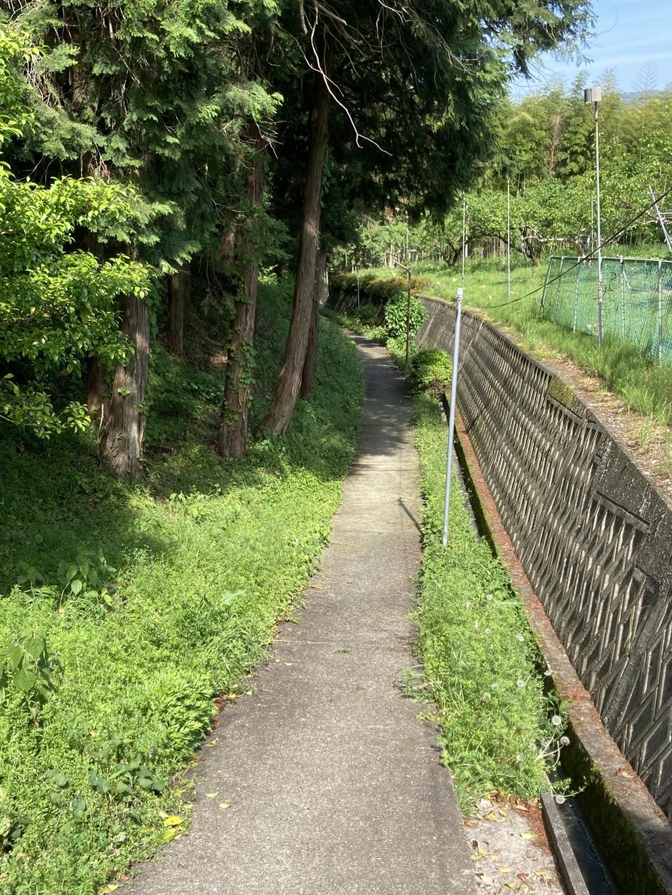 猿岡山城