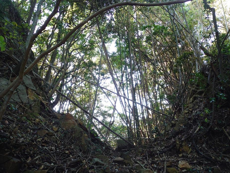 鰐坊山城
