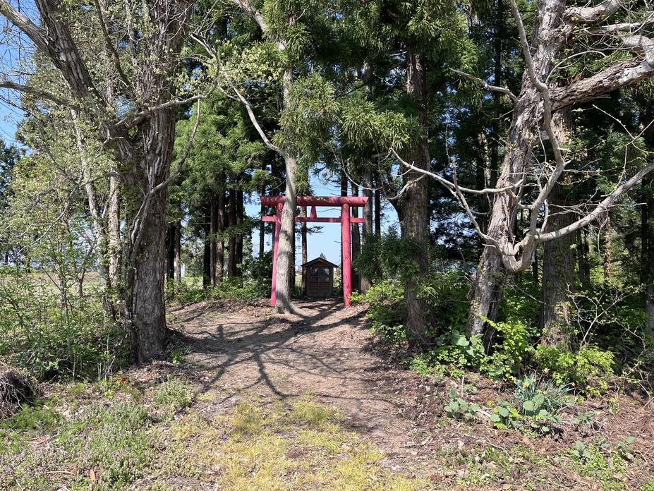 四十二館