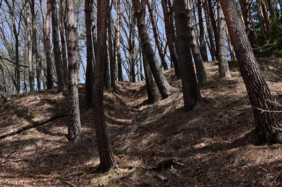 埴原城
