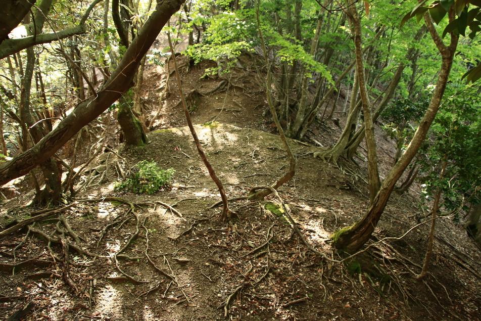 熊川城