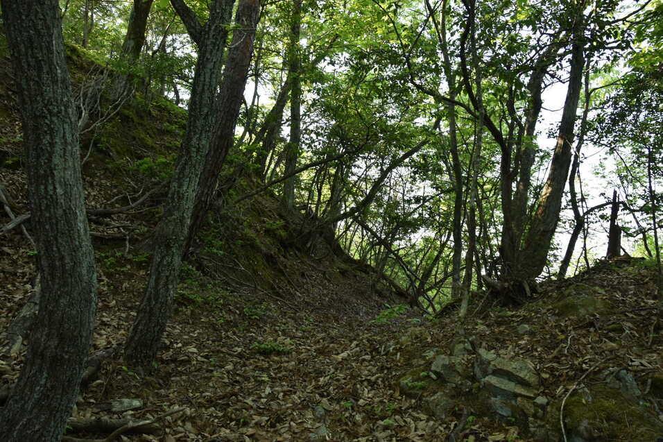 太尾山城