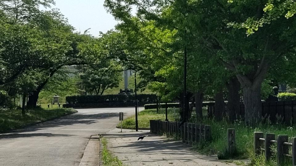 山形城