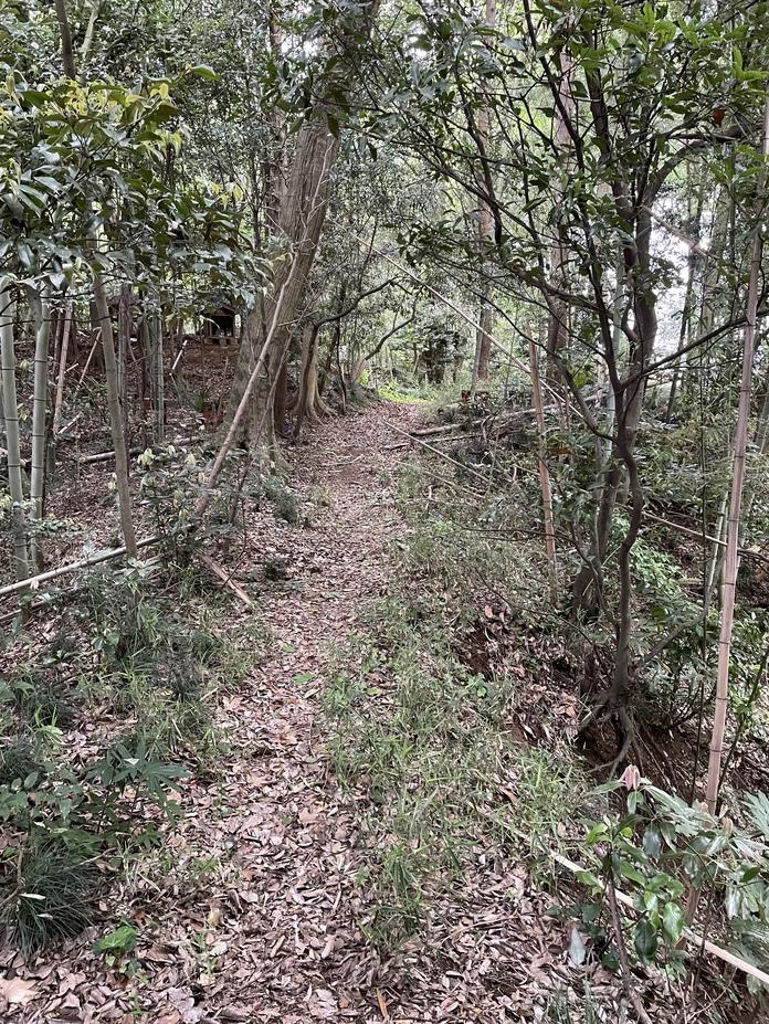 米本城