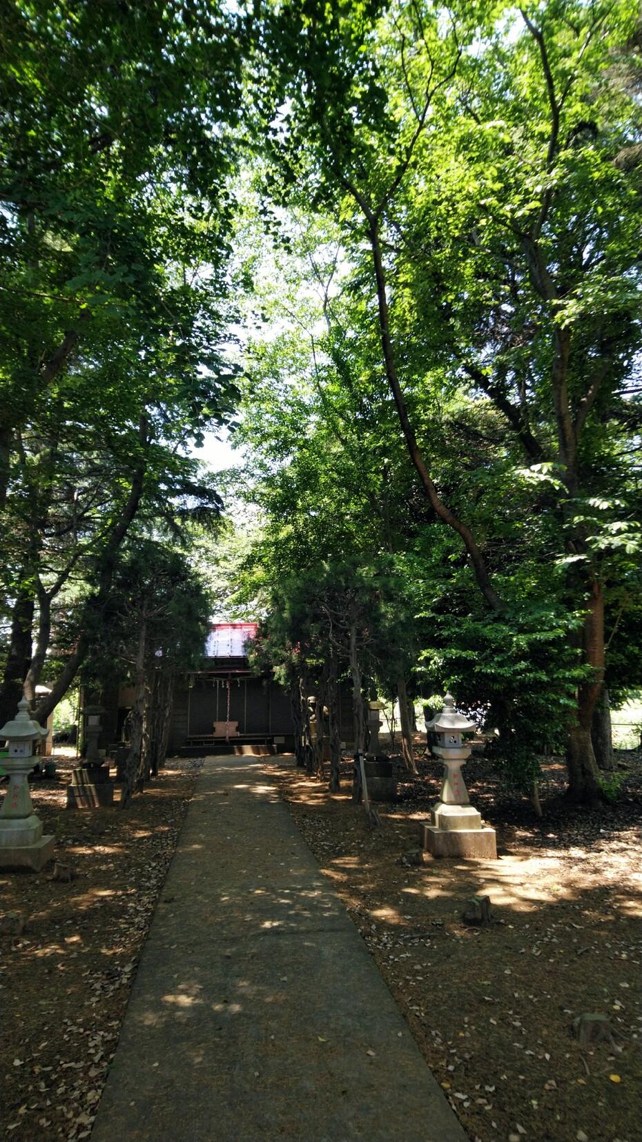 米ケ崎城