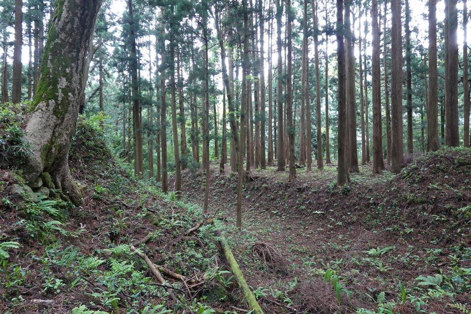 舟岡山城