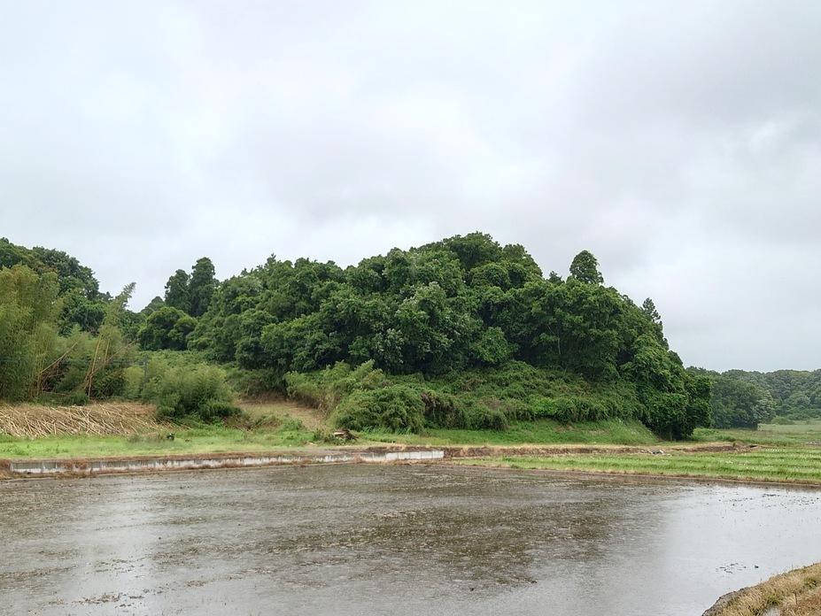 小高城