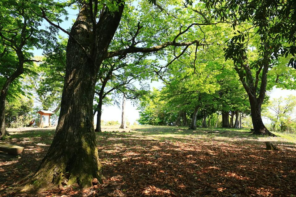 二上山城