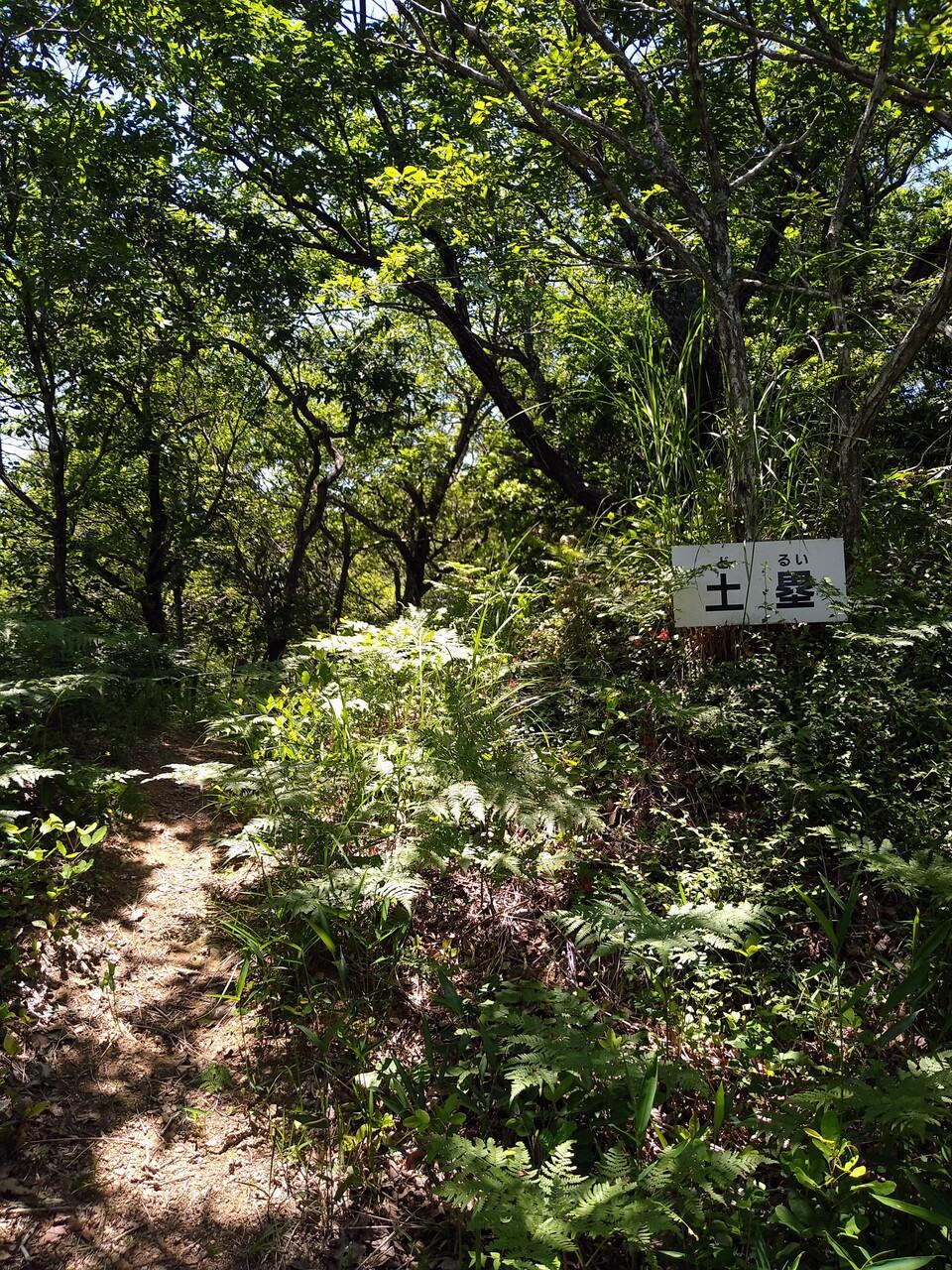 黒瀬城