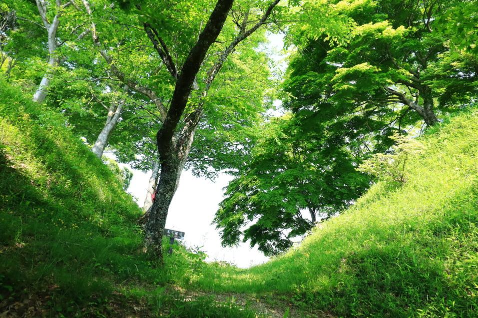 三沢城