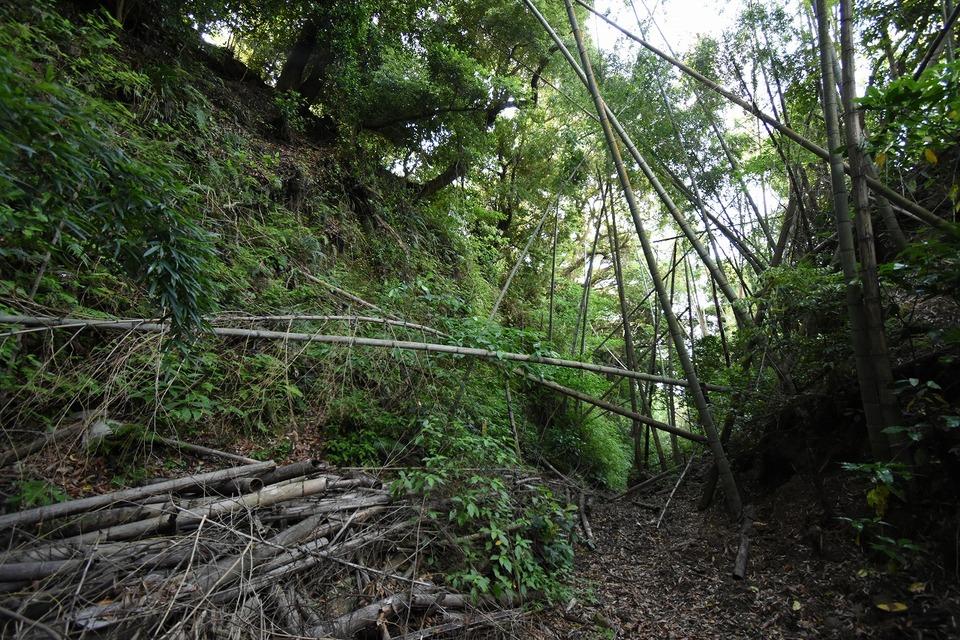 清水城