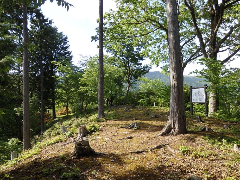 楪城