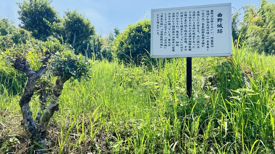 曲野城