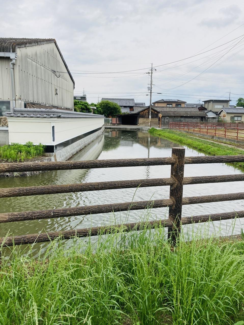 稗田環濠