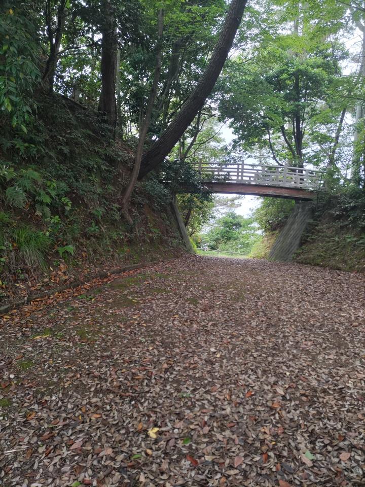 高浜城