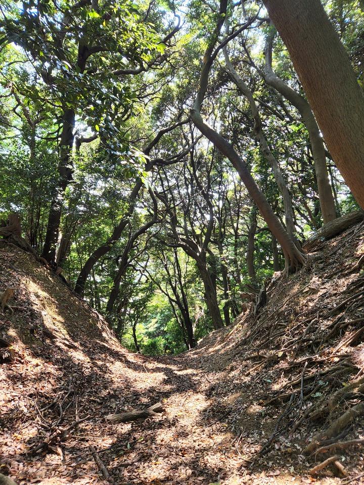 金ヶ崎城