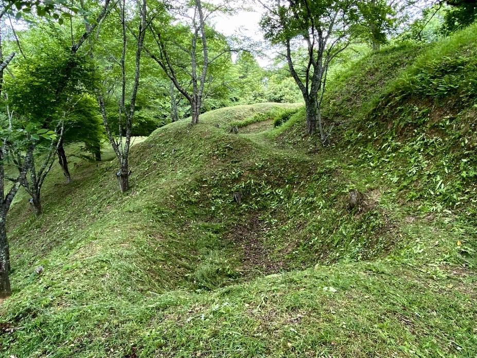猪崎城