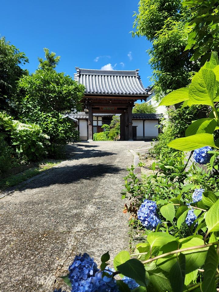 鳥栖城