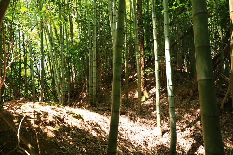 轟城