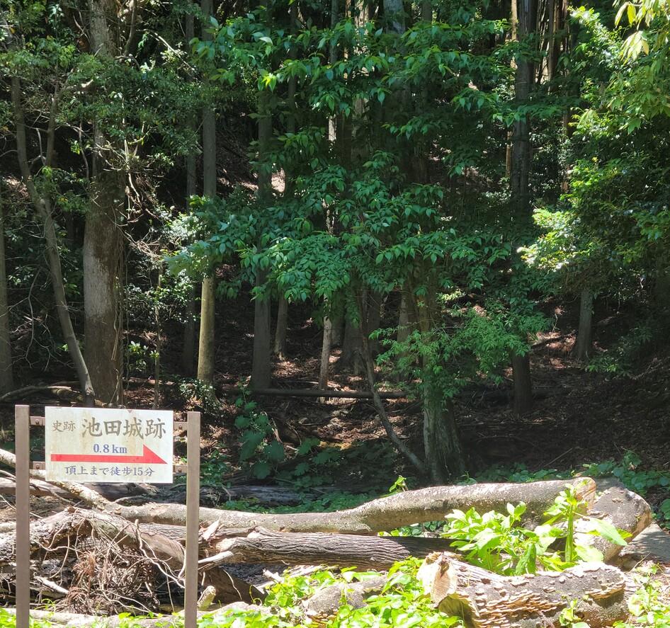 小坊子城