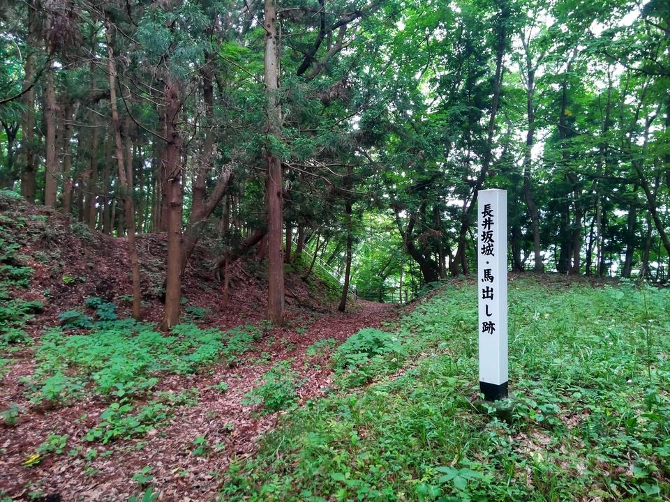 長井坂城