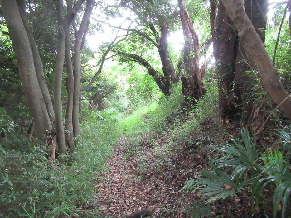 佐原城
