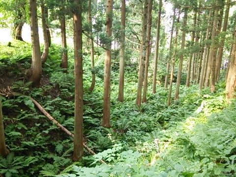 清水城