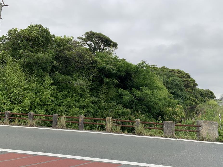 米津台場