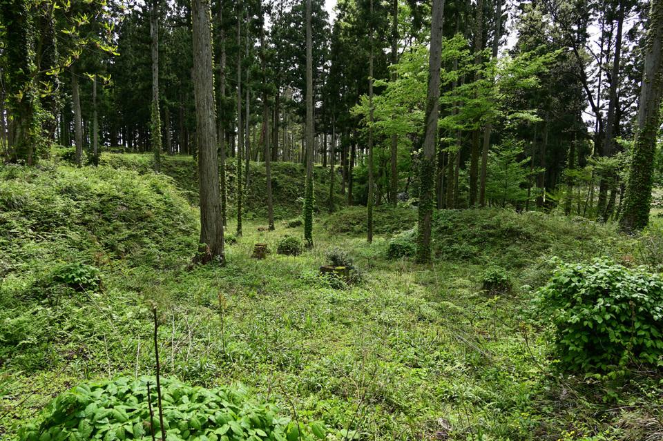 平林城
