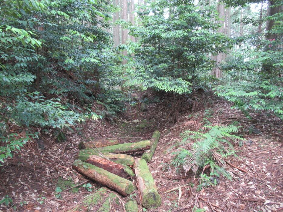 犬居城