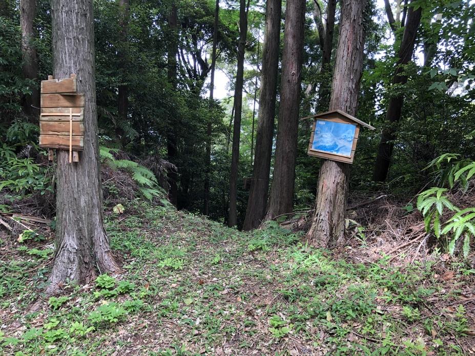 布師田金山城