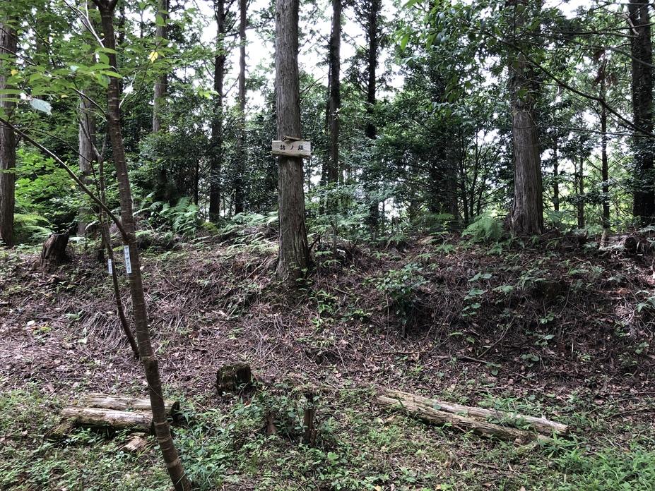 布師田金山城