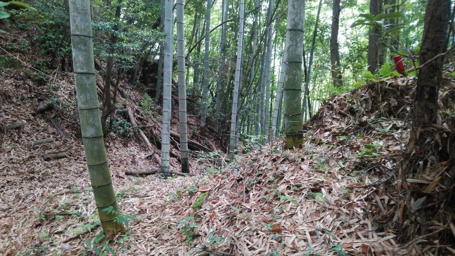 布師田金山城