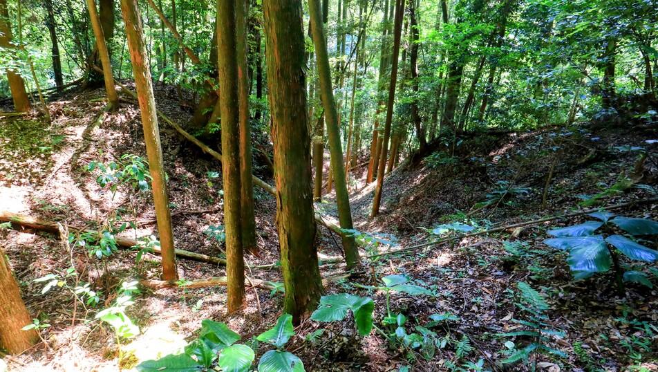 野尻城