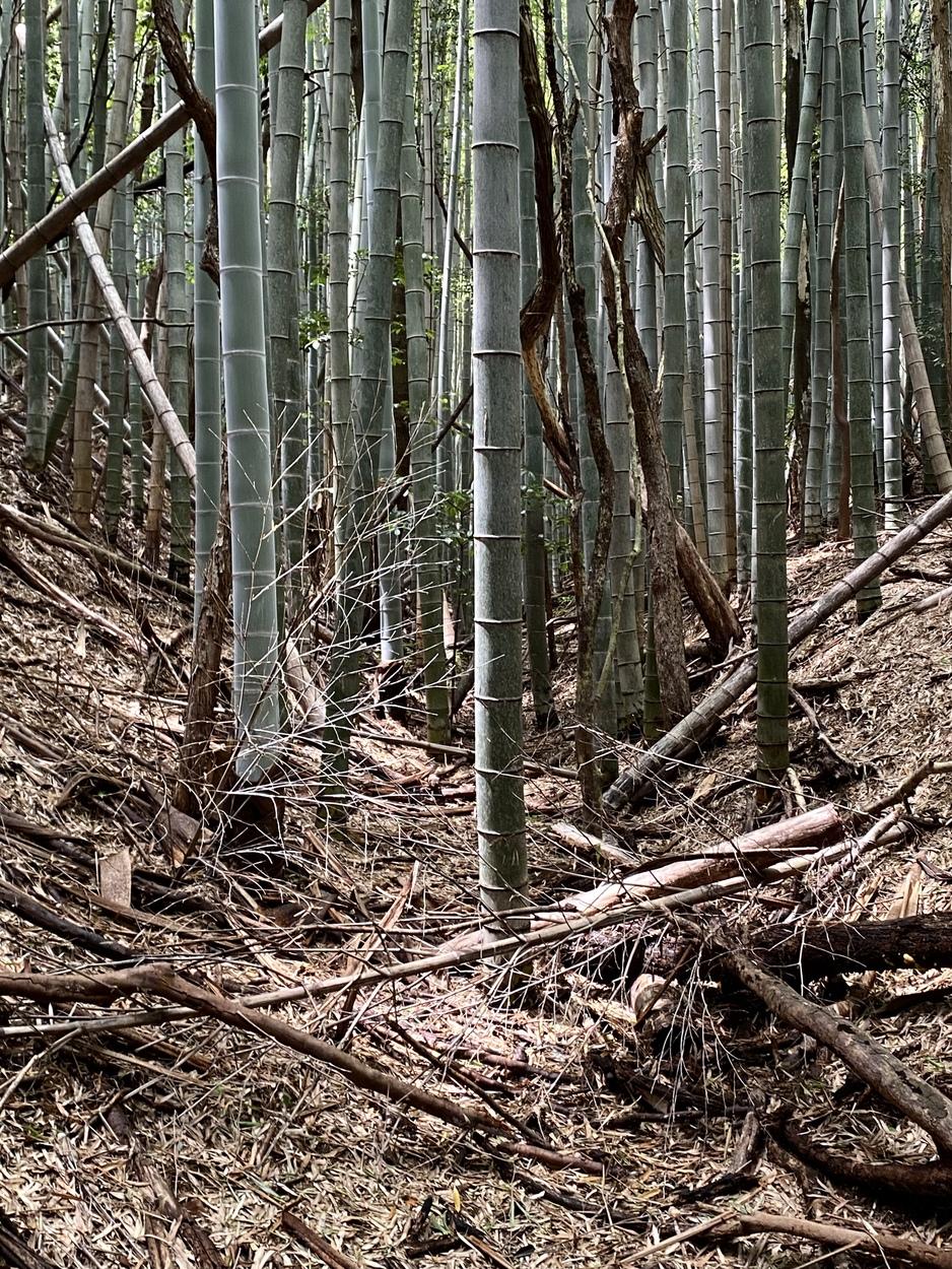 安濃城