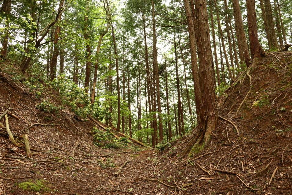 亀ヶ城