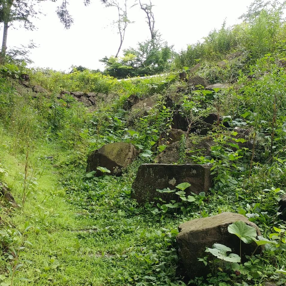 三戸城