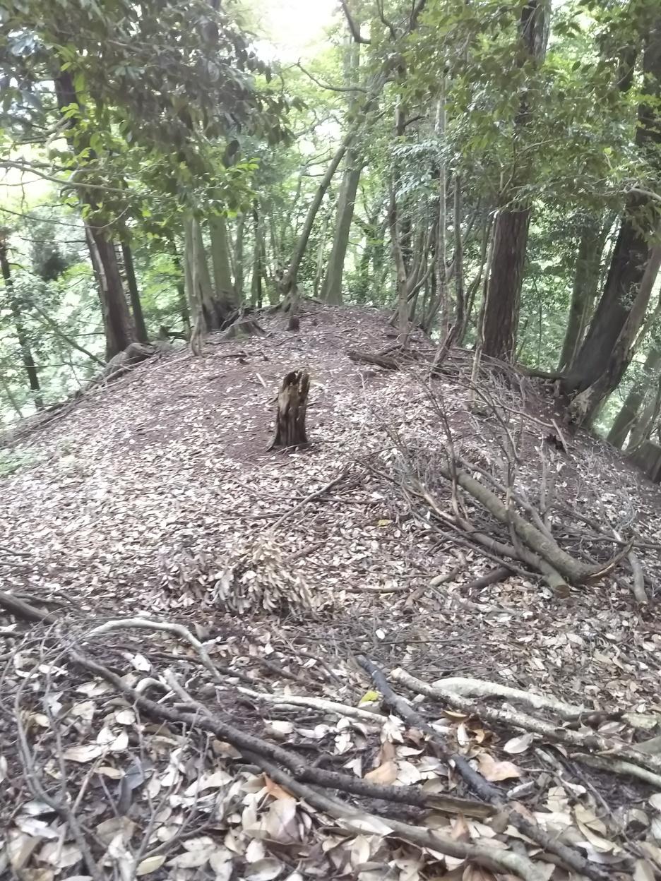 熊川城