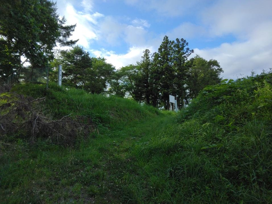 佐沼城