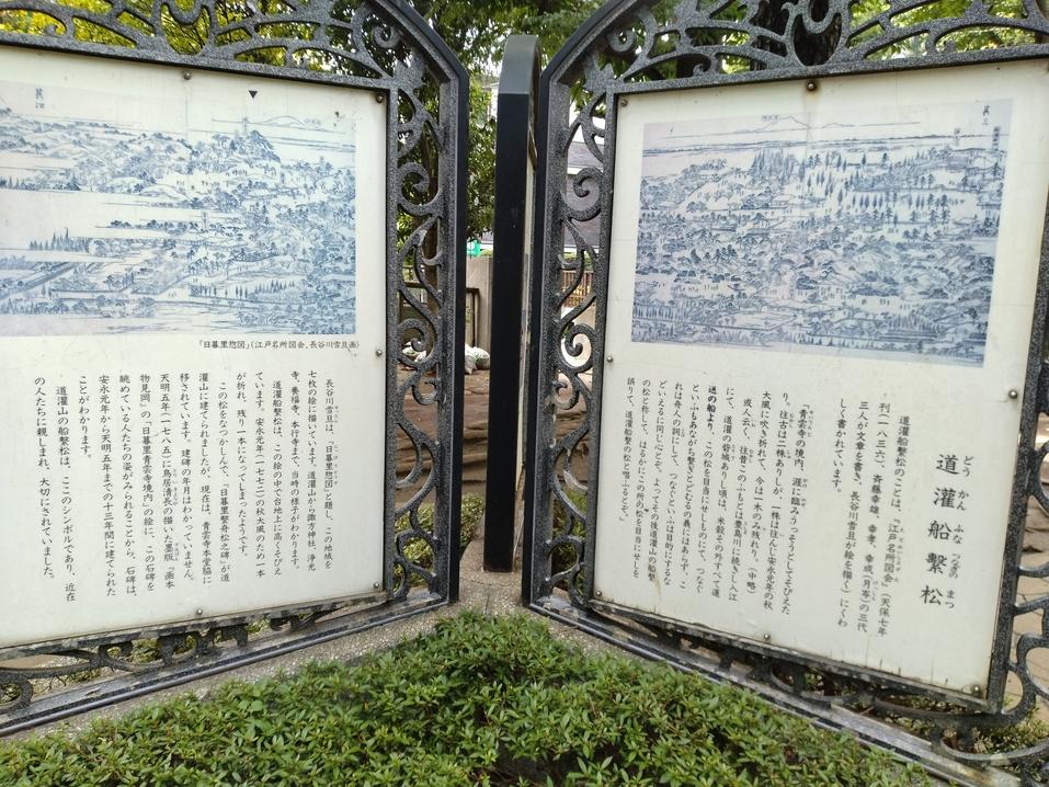 道灌山