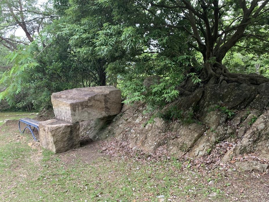 鳥羽山城