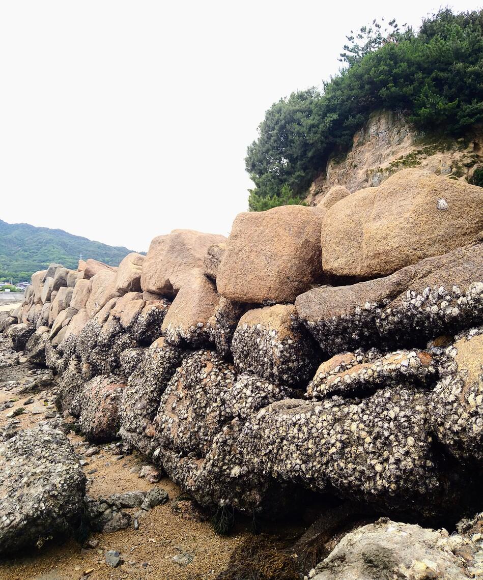 甘崎城