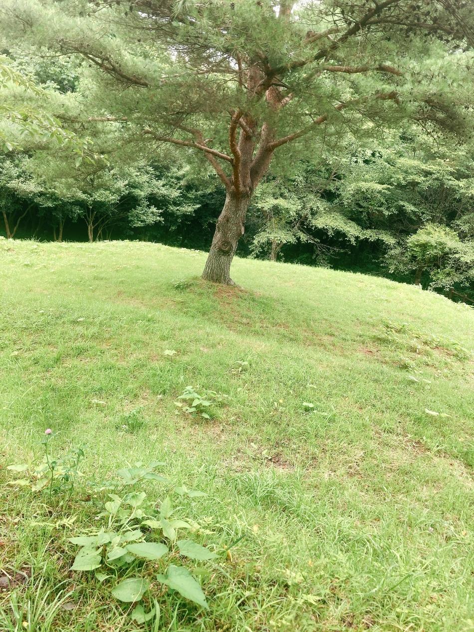 千石城