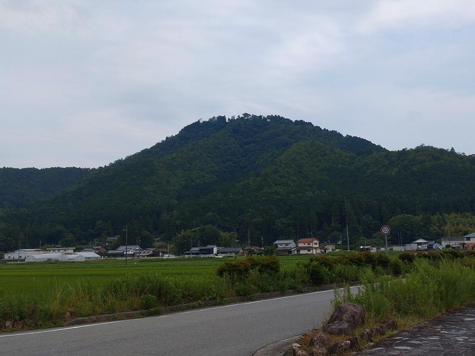 八上城