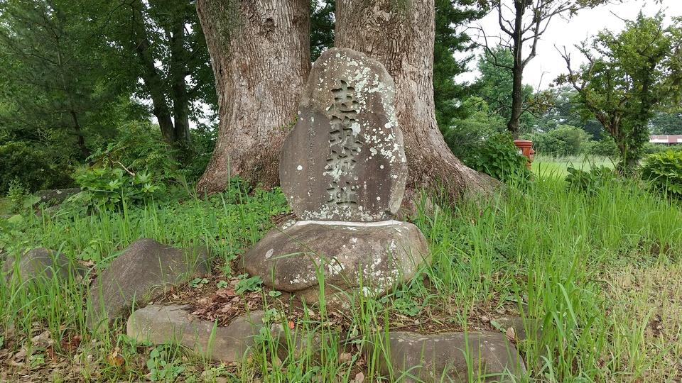 志筑城