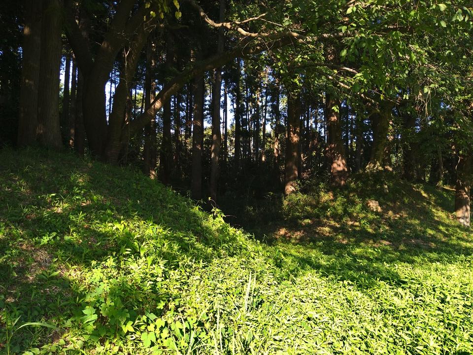 御茶屋御殿