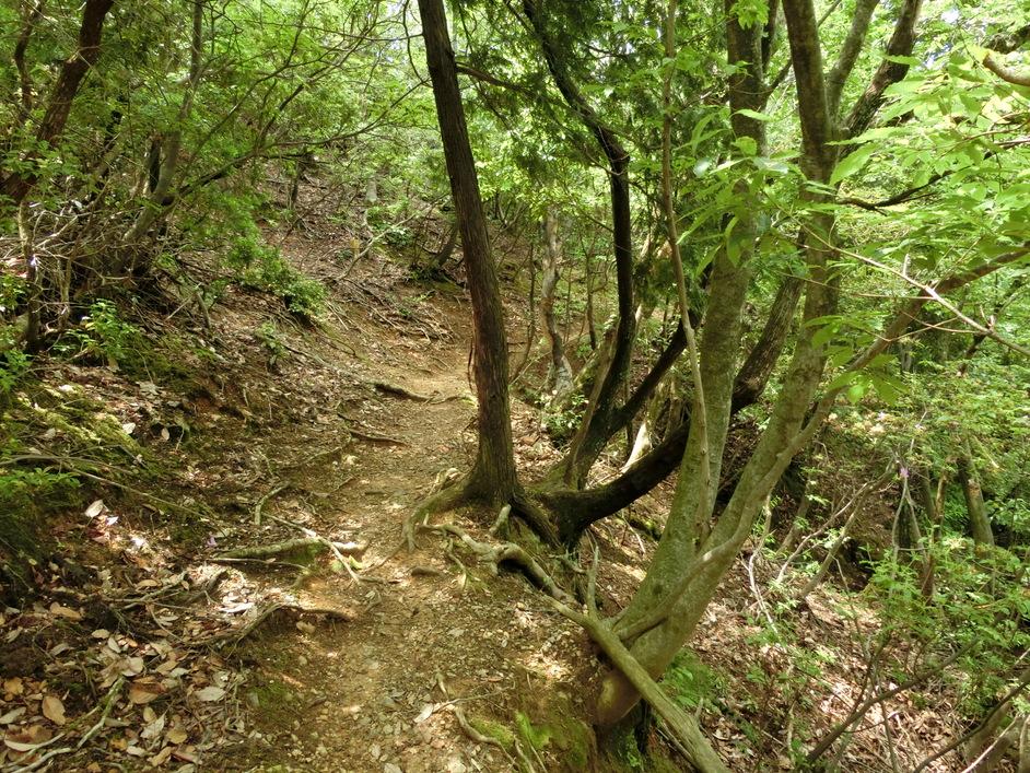 嵐山城