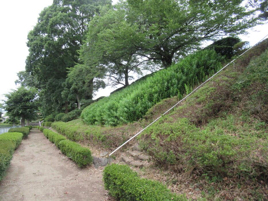 藤岡城