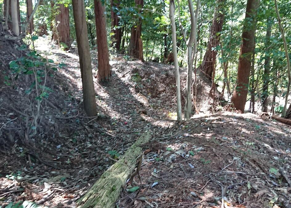 柏原城