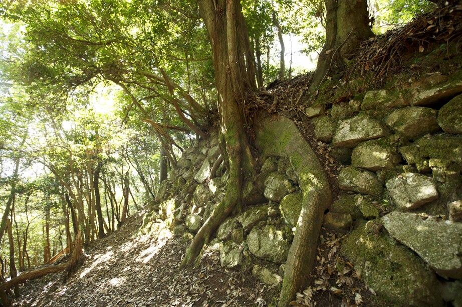 宇佐山城